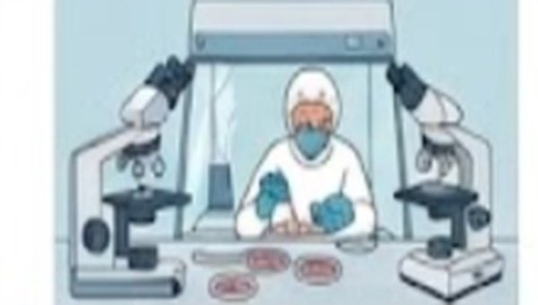 B.Sc.- Microbiology